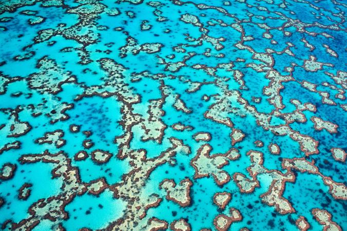 Inside the daring plan to map every coral reef from space
