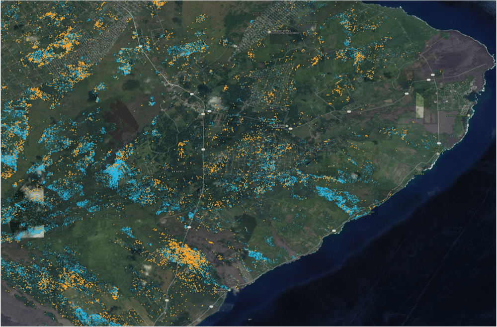 Conservation Management of Hawaiian Forests
