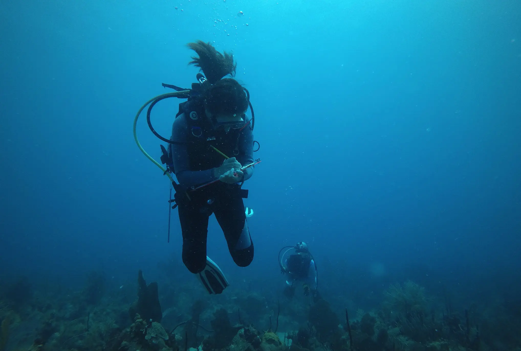 CoralSpec Program