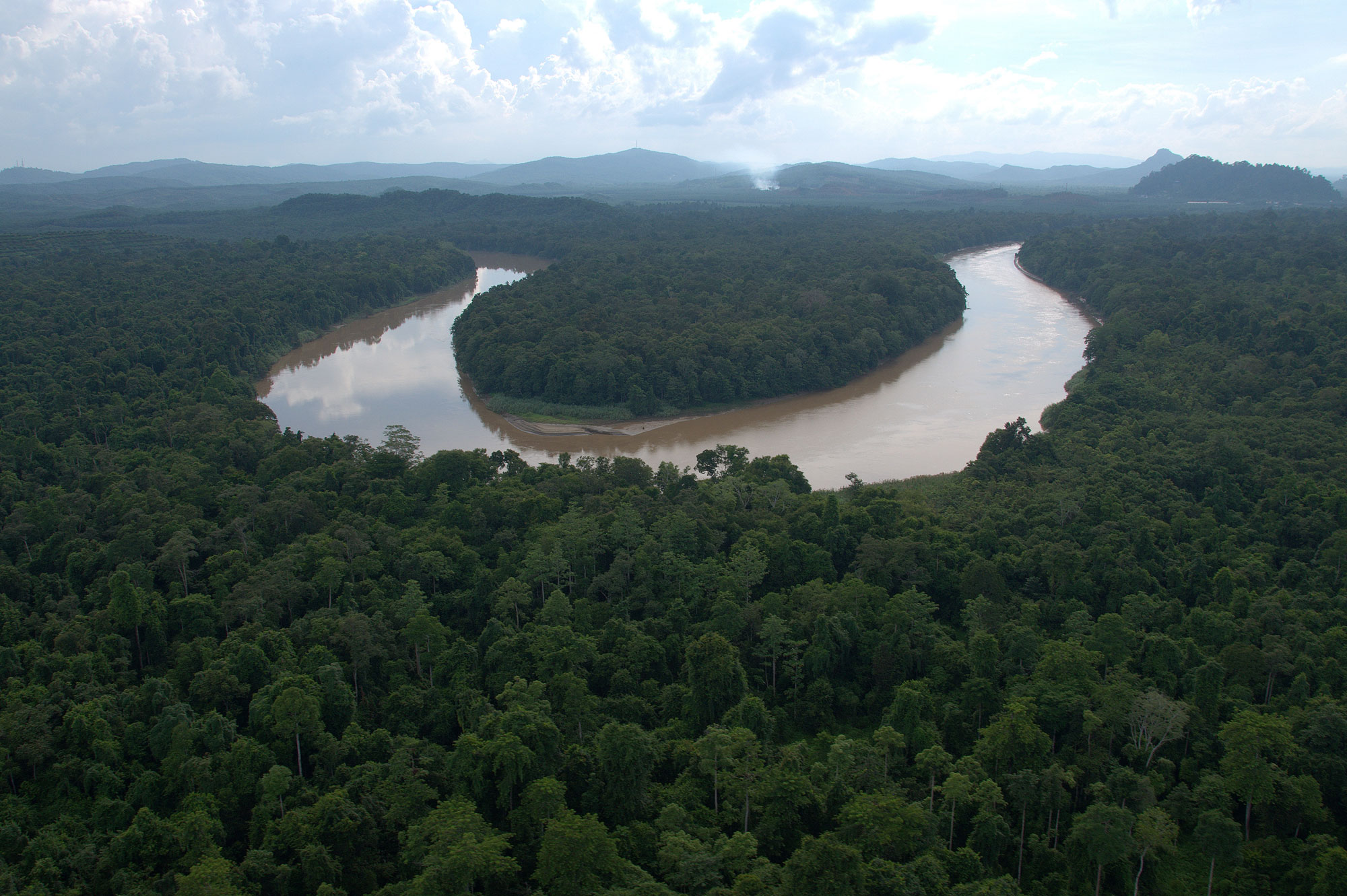 New Rainforest Protections in Borneo