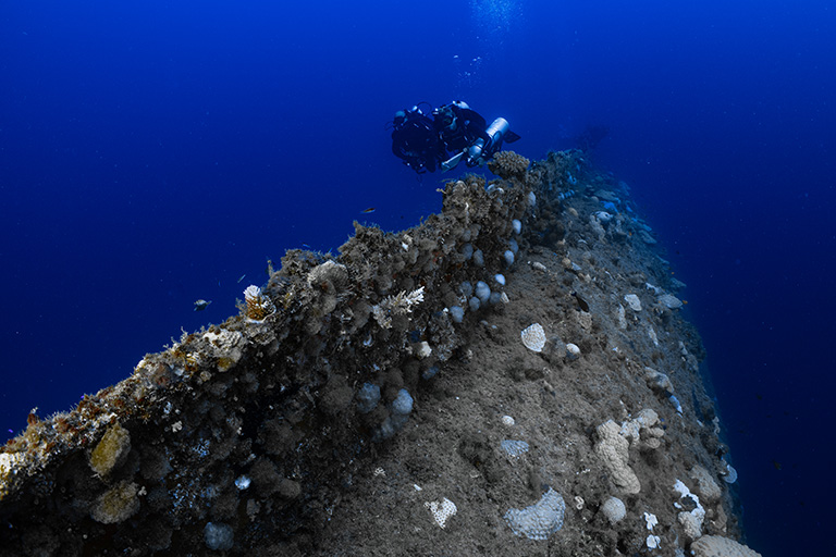 Guns, corals and steel: are nuclear shipwrecks a biodiversity hotspot?