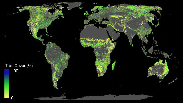 Adding 1 billion hectares of forest could help check global warming