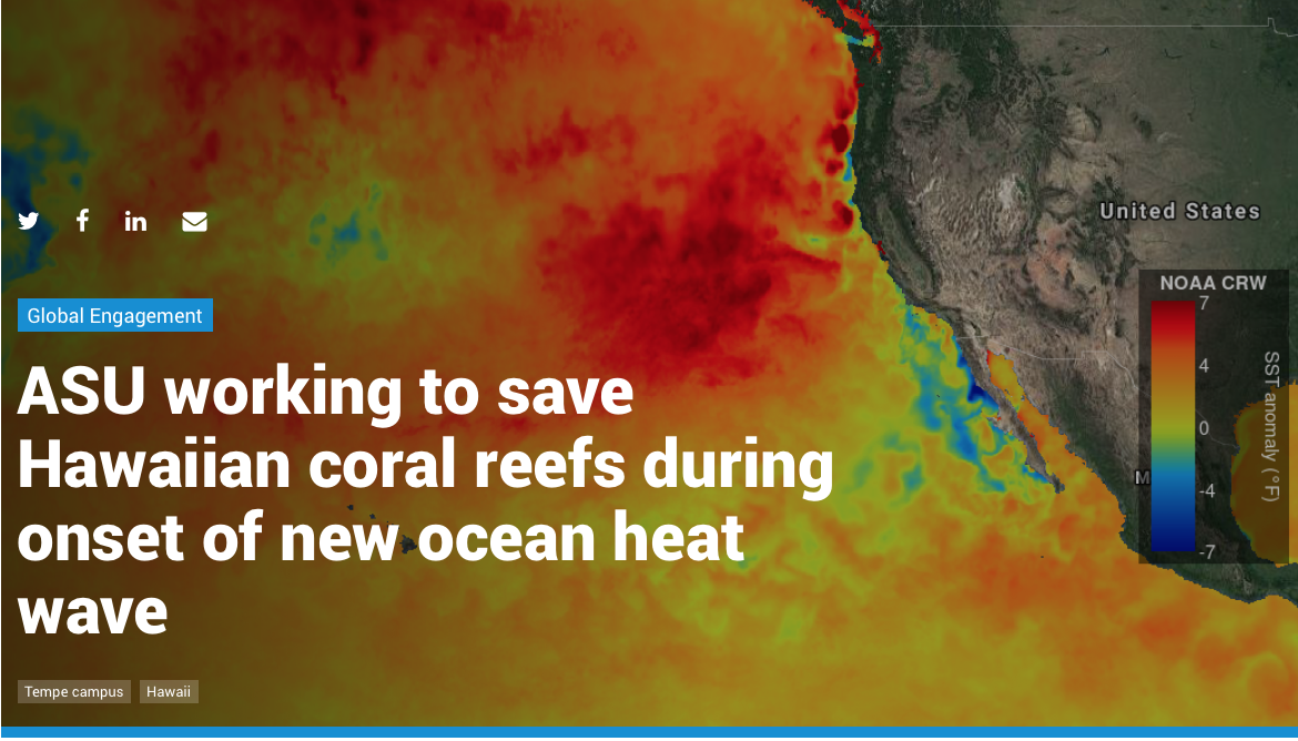 ASU working to save Hawaiian coral reefs during onset of new ocean heat wave