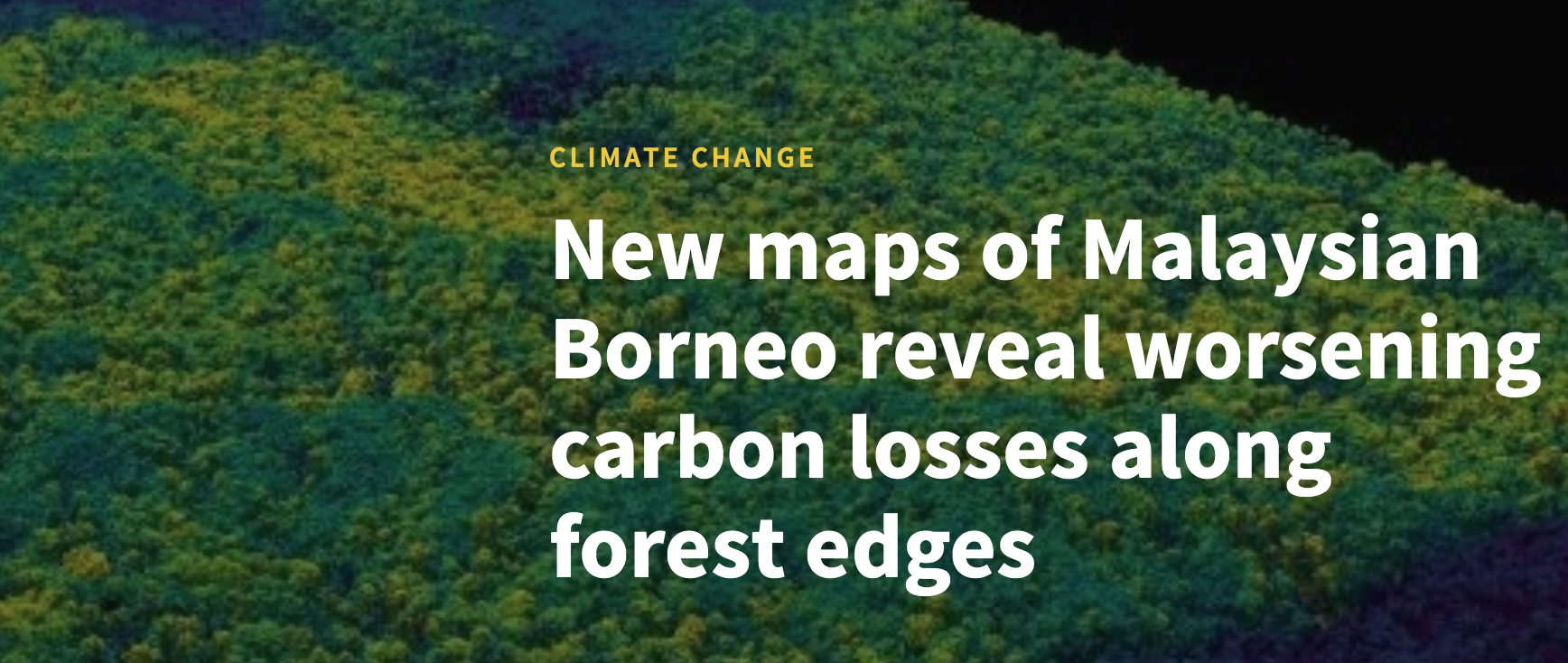 New maps of Malaysian Borneo reveal worsening carbon losses along forest edges