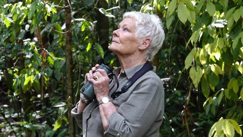Judi Dench’s Wild Borneo Adventure