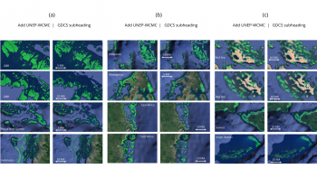 Location, extent of coral reefs mapped worldwide using advanced AI