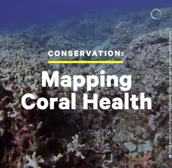 This is Why It’s Important to Map Coral Health